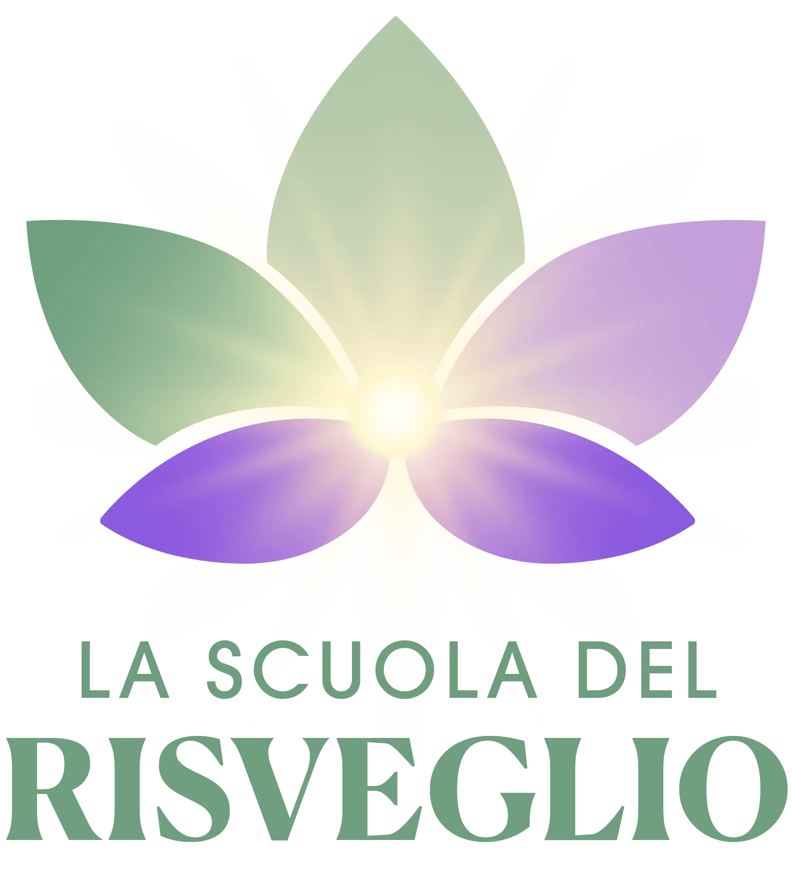 La Scuola del Risveglio